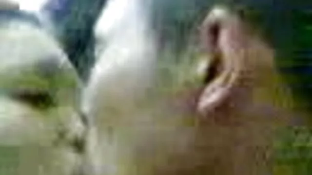 DP fanatics PMV compilación por porno anime hentai español Dimecum trailer 5
