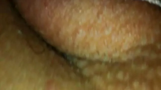 Phonebabe hentai online gratis sub español